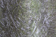 Sandhills fibreglass roof work