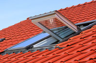 Sandhills roof window